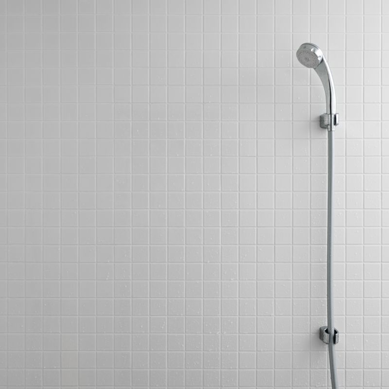 Inside Shower Wall